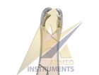 Equine Dental Forceps Four Prong 21 