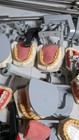 Vintage Dental Typodont Lot With Mounting Poles - As-is - Incomplete 