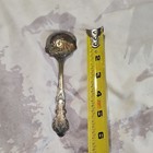 1847 Rogers Bros Charter Oak 1906 Sugar Spoon 6  Antique Silverplate Xs Triple