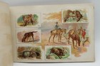 Allen   Ginter Tobacco Card Album - Quadrupeds - Original   Complete