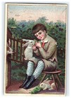 1870-80s Warnock   Ralston s American Standard Soap Rock Island Il Child rabbits