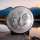 2013 American Silver Eagle 1 Oz 999 Fine Silver Coin Us  1 Dollar Uncirculated 