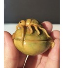 78  Netsuke Tagua Palm Nut Carving Japanese Beetle