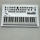 Korg Minilogue Polyphonic Analogue Synthesizer Gray Read