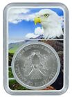 2019 1oz Silver American Eagle Ngc Ms69 - Eagle Core - Pop 50
