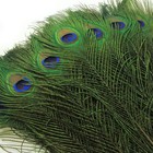 24pcs Peacock Feathers Long Natural In Bulk 25-30 Inch 60-70 Cm For Craft Vase  
