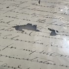 Antique Document Newton County Texas 1908 Sale Deed Hogs  Signed Ellis Hall