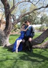 Windsor Prom Dress Royal Blue Size Small Sequins Open Back Long Dress With Slit