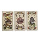 The 5-cent Tarot 2nd Edition By Madam Clara Tarot Fortune English Version