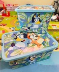 Bluey Storage Boxes Set Of 2