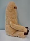 Pusheen Sloth 16  Plush 2019 Beige Brown Soft Toy Stuffed Animal Gund