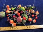 Vtg Millinery Fruit Collection Mixed Varieties 1 2-1 1 2  Berry Mushroom H5331