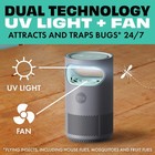 Stem Flying Insect Fan Trap For Indoor Bug Control  Attracts Mosquitoes  Gray