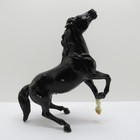 Breyer Wild Horses Of America  710493 Black Semi Rearing Mustang With White Sock