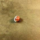 Victorian Milk White Uranium Glass Red Paint Apple Clothes Button W shank