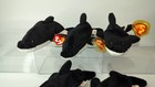 Ty Beanie Babies  lot Of  5  Rare Vintage  splash The Orca  Beanies  nice   