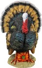 Qm2373100 North American Turkey Statue full Color small