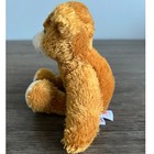 Plushland Brown Teddy Bear Bean Bag Plush