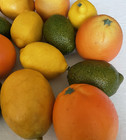 Faux Fruit Decor Artificial Decorative Assorted Home Fall Thanksgiving Christmas
