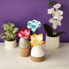 Crayola Paper Flower Science Kit  Color Changing Flowers  Gift For Kids Ages 7 