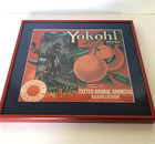 Vtg Original Yokohl Oranges Fruit Crate Label Framed Exeter Native American Fish