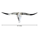 Genuine Longhorn Skull 49    Wide Gray Mottled Horns Black Tips Western Decor