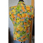 My Name Is Panama Vintage Citrus Gingham Sleeveless Button Down Shirt Cotton S