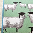 Recycled Paper Greetings Graduation Card 5x7 Green Sheep Caps Funny Humor