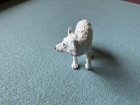 Safari Ltd Miniature Arctic White Wolf Figure Wildlife Mini Polar Dog Toy