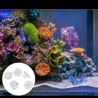 5 Pcs Magnetic Frag Rack Acrylic Coral Holder Acrylic Frag Shelf Reef Frag Rack