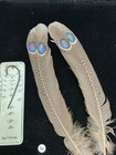 Grey Peacock Pheasant  Double  Eye Tail Feathers   54