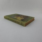 Antique Children s Book Thomas Clark Hinkle Dr Rabbit Old Bill Horned Owl Hb