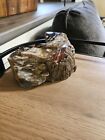 Agatized Arizona Petrified Wood -rare- Polished Decor Piece