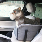 Small Dog Booster Seat Pet Cat Car Seat Puppy Console Secure Travel Safety Seat