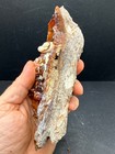 Agatized Coral Specimen     Vibrant Red Agate   Natural Botryoidal Formation
