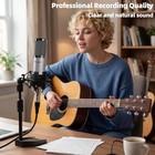 Studio Microphone  Professional Cardioid Xlr Condenser Recording Mic Voice Over