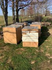 New Savanna Tumble Brick 12-1 8 X1-9 16x 3-7 8  Six Pallets W 630 Bricks Ea 
