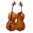 Professional High Quality 4 4 Size Basswood Cello Set W case Bow Rosin Retro