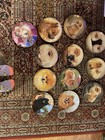 Barbara Higgins Bond Pomeranian Porcelain Collector Plates Lot Of 12 Limited