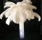 10 Pcs Ostrich Feathers 14-16 Inch 35-40cm White Plume Wedding Centerpieces