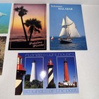 Lot Of 14 Vintage Florida Unused Postcards Wildlife Mammals