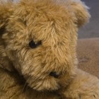 Dakin Nature Babies Candy Cougar Plush Stuffed Animal Vintage 1976 Mpn 31-1410