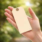 Label Tags With Wire Attached - 4 3 4  X 2 3 8  Box Of 100 Blank 100  Manila