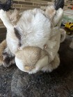 Retired Nwt Aurora Flopsies Bobby Bobcat Lynx Soft 12    Plush Stuffed Animal Cat