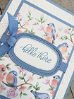 Stampin  Up  Card Kit - Flight   Airy - All Inclusive Set Of 4 Cards