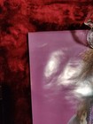 Bon Jovi Vintage 1986 Original Poster Jon Bon Jovi Funky 1980   s