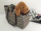 Pet Dog Cat Purse Tote Waterproof Handbag Carrier   So Cute 