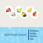 Polar Seltzer Water Sampler Variety Pack  12 Fl Oz  Assorted Flavor Names 