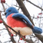     New Douglas Cuddle Toys Stuffed Soft Plush Bluebird Bertie Song Bird Blue Doll