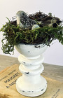 French Cottage Decorative Pedestal Riser White Wood Shelf Decor